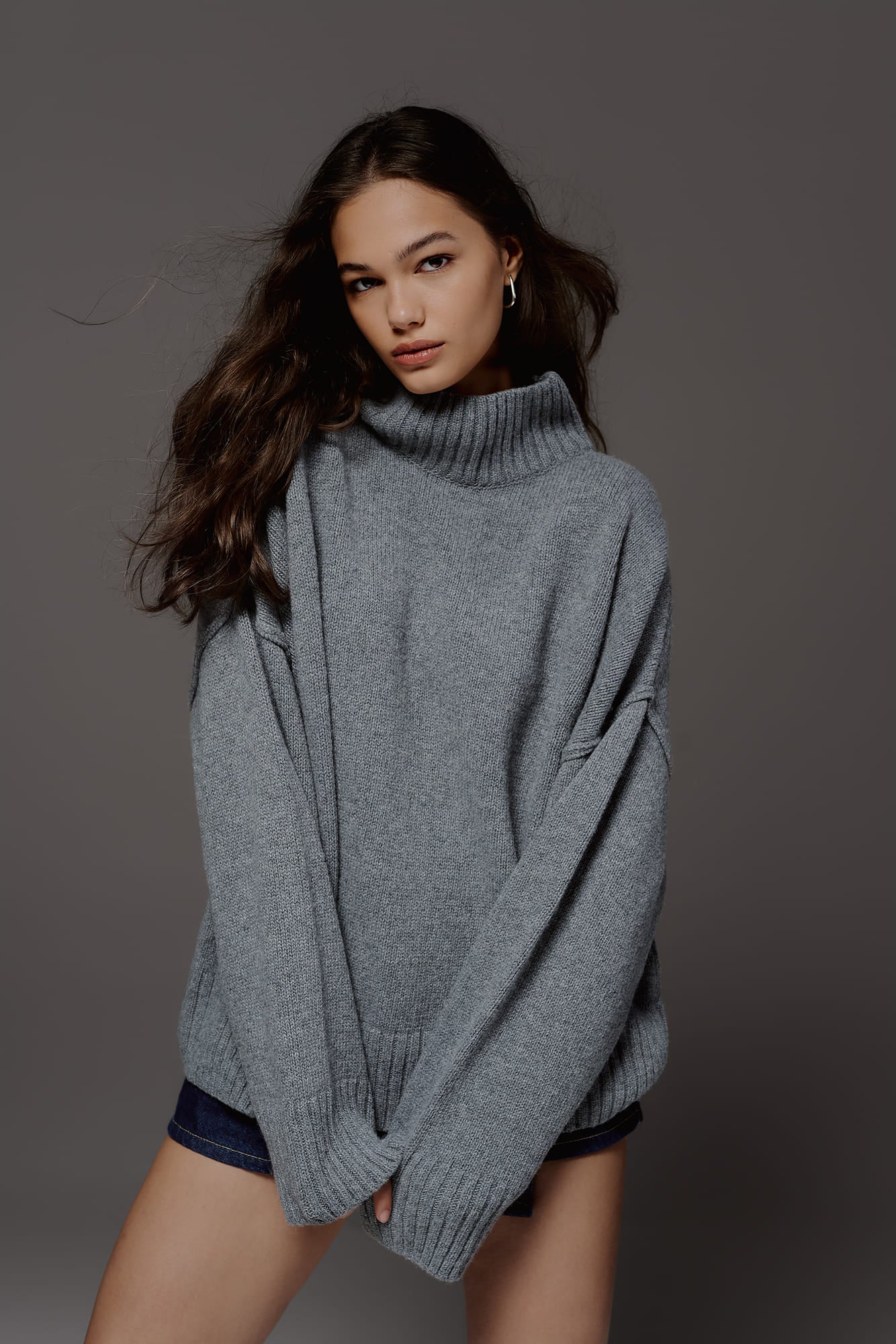 Lambswool Turtleneck