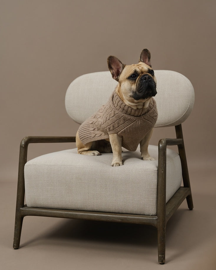 Knitted Cape for Dogs